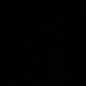 Meet your Posher, Hollie